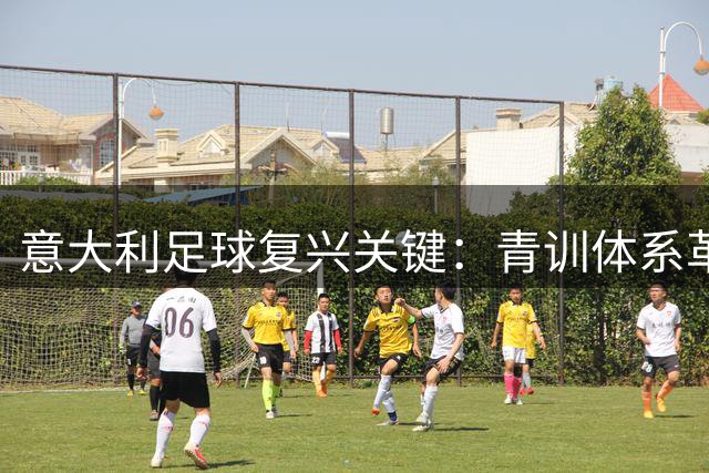 意大利足球复兴关键：青训体系革新而非风格模仿
